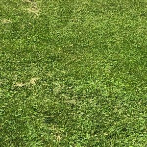 Meet your Posher, Simon